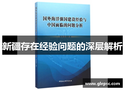 新疆存在经验问题的深层解析